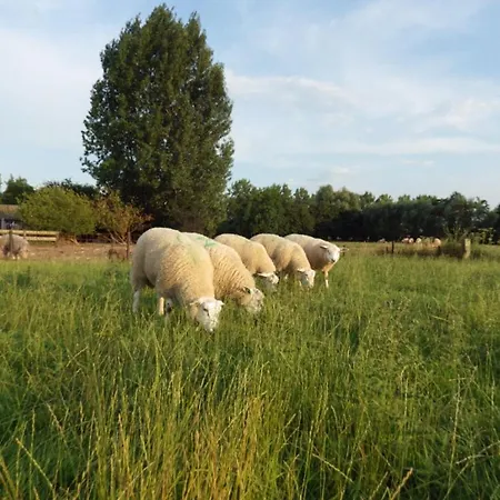 Landrust
